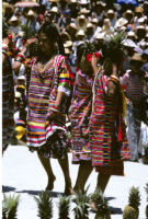 Tuxtepec, women dancers holding pineapples, 1985