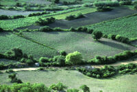 Oaxaca, aerial view of farmland, 1982 or 1985