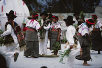 Santa Catarina Estetla, dancers holding leaves, 1985