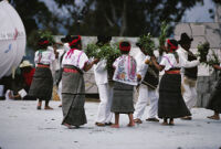 Santa Catarina Estetla, dancers holding leaves, 1985