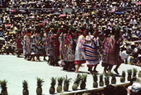 Tuxtepec, women dancers and pineapples, 1985