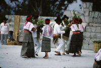 Santa Catarina Estetla, dancers holding leaves, 1985