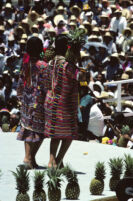 Tuxtepec, women holding pineapples, 1985