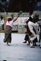 Santa Catarina Estetla, dancers holding leaves, 1985