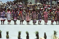 Tuxtepec, women dancers and pineapples, 1985