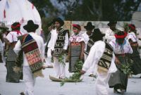 Santa Catarina Estetla, dancers holding leaves, 1985