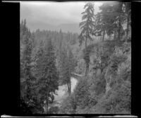 View from an overlook while en route from Jasper to Lake Louise, Alberta, 1947