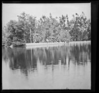 Baldwin's Lake at Baldwin's Ranch, Arcadia, 1899