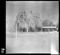 Snow-covered trees and a wood cabin, Niagara Falls, 1914