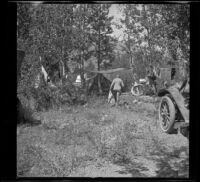 Albert Schmitz walking through the campsite in the Aspens, June Lake vicinity, 1914