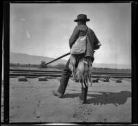 Guy M. West stands near railroad tracks after a rabbit shoot, Fontana vicinity, about 1902