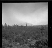 Mount Shasta viewed from a train, Sisson vicinity, about 1906