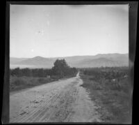 A dirt road stretches towards the mountains, Redlands vicinity, 1899