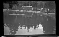 Close-up view of a trout pool, Banff National Park, 1947