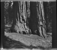 H. H. West, his wife, Mertie, and his son pose in front of giant
