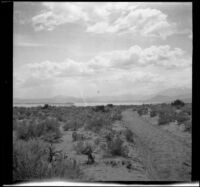 Mono Lake, viewed at a distance from a dirt road, Mono Lake, 1913