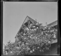 Ellen Lorene (Pinkie) Lemberger and Mrs. Rucher look out from the upper porch of John Lemberger's house, Crafton, 1901