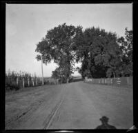 Road leading to White Bridge, Red Oak, 1900