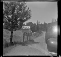 Large mailboxes stand on the roadside, Cave Junction vicinity, 1942