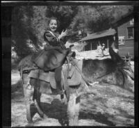 Elizabeth West riding a donkey at Orchard Camp, Mount Wilson, 1909