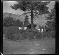 Mertie West and Agnes and Forrest Whitaker stand in a campsite, Inyo County vicinity, about 1930