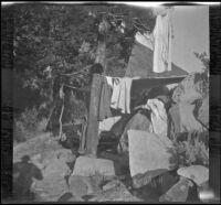 Velzy's campsite pitched alongside Convict Creek, Mammoth Lakes vicinity, 1915