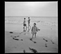 Frances West stands on the beach with her back to the camera, Venice, about 1910