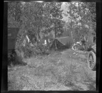 H. H. West and company's campsite in the Aspens near Silver Lake, June Lake vicinity, 1914