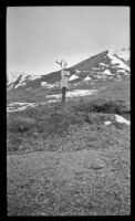 View looking towards the summit of Sable Pass, Denali National Park and Preserve, 1946