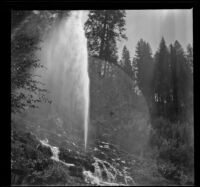 Shasta springs shooting from a creek, Shasta County, about 1903