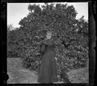 Mrs. Smith posing in front of an orange tree, Pomona, about 1895