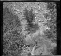 H. H. West fishing in Cottonwood Creek from a log, Inyo County, 1913