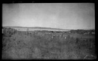 Cook Inlet, viewed at a distance from Frances Wells' apartment, Anchorage, 1946