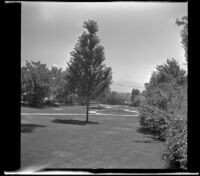 View of Brigham Young Cemetery, looking southeast, Salt Lake City, 1942