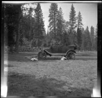 Ade Bystle's Ford parked in a clearing with a flat tire, Trinity County, 1917