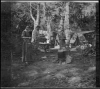 Mary A. West, Dave F. Smith and Nella A. West standing around their campsite among the aspens, June Lake vicinity, 1913