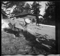 Frances West getting a drink of water at the faucet, Mount Wilson, 1909