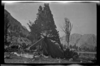 H. H. West's green tent and campsite on the edge of Bullfrog Lake, Independence vicinity, about 1919