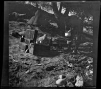 Cleo Swain fixing up a meal, Los Padres National Forest vicinity, about 1917