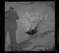 A mud pool bubbles at Volcano Springs, Salton Sea vicinity, 1899