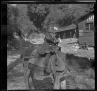 Frances West rides a donkey, Mount Wilson vicinity, about 1911