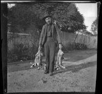 Guy West holds hunted rabbits, Los Angeles, 1898