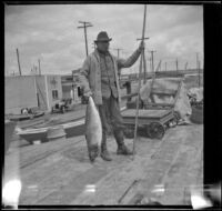 H. H. West standing on Newport Pier and holding a large sea bass, Newport Beach, 1914