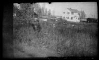 House, vegetation, big dog and children at a wading pool below bluff near Frances Wells' apartment, Anchorage, 1946