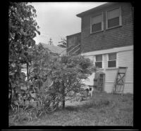 Backyard of the West's home at 2223 Griffin Avenue, Los Angeles, 1943