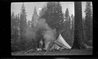 Harry Schmitz stands in the camp at Tamarack Flat, Yosemite National Park, about 1922