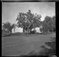 House with trees surrounding it, Red Oak, 1900