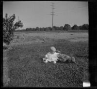 Baby Ambrose Cline sits in a field and plays with a dog at John Teel's ranch, Los Angeles, [about 1915]