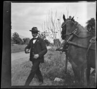 Charles Rucher steps away from horses hitched to a post on the side of the road, Pasadena vicinity, 1899