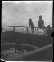 Two boys and a man observe the seal pool at MacArthur (Westlake) Park, Los Angeles, 1936